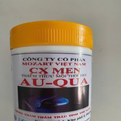 CHỐNG THẤM THẨM THẤU TINH THỂ NANO